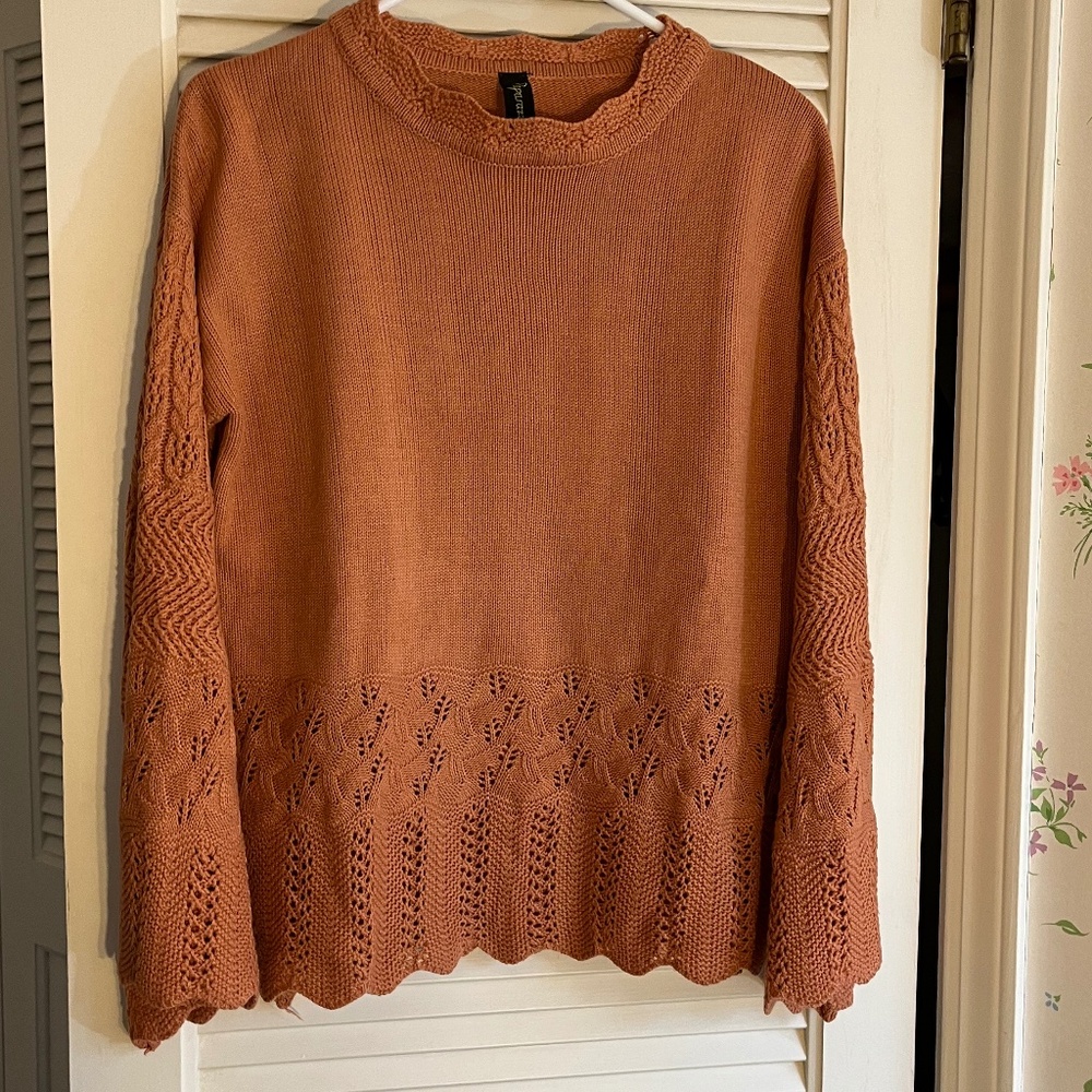 Paparazzy Cinnamon Brown Mock-Neck Sweater Crochet Arms Size M (est) - Picture 7 of 7